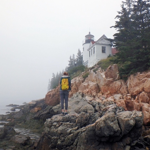 Meet your Posher, Amelia - Picture 4 of 8